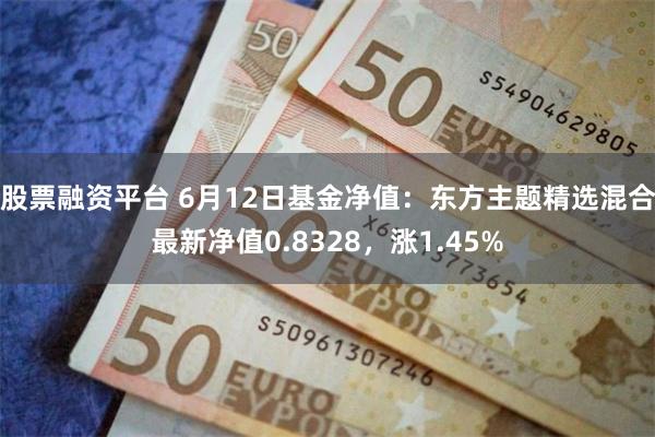 股票融资平台 6月12日基金净值：东方主题精选混合最新净值0.8328，涨1.45%