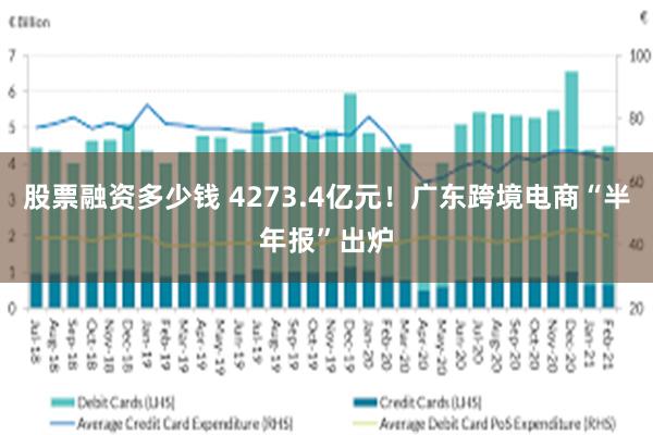 股票融资多少钱 4273.4亿元！广东跨境电商“半年报”出炉