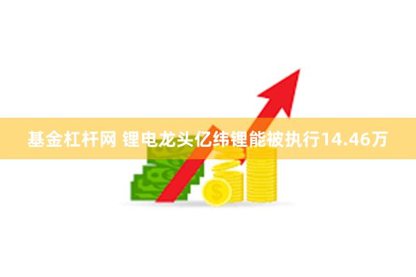 基金杠杆网 锂电龙头亿纬锂能被执行14.46万