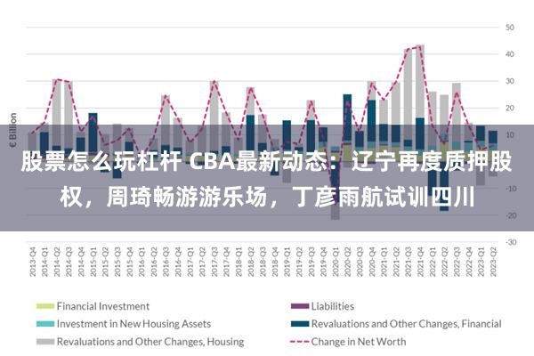 股票怎么玩杠杆 CBA最新动态：辽宁再度质押股权，周琦畅游游乐场，丁彦雨航试训四川