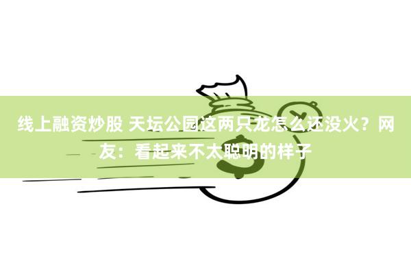 线上融资炒股 天坛公园这两只龙怎么还没火？网友：看起来不太聪明的样子