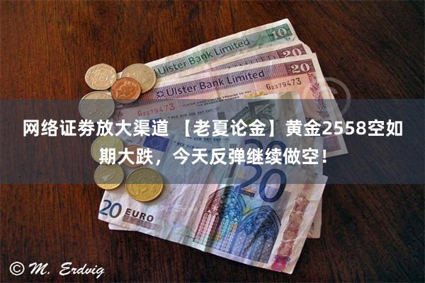 网络证劵放大渠道 【老夏论金】黄金2558空如期大跌，今天反弹继续做空！