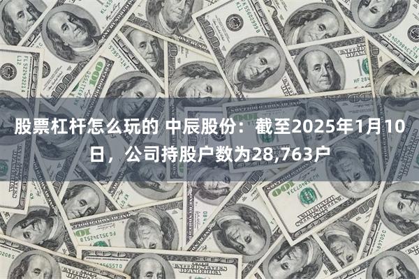 股票杠杆怎么玩的 中辰股份：截至2025年1月10日，公司持股户数为28,763户