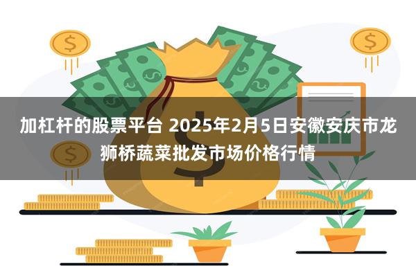 加杠杆的股票平台 2025年2月5日安徽安庆市龙狮桥蔬菜批发市场价格行情