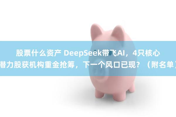 股票什么资产 DeepSeek带飞AI，4只核心潜力股获机构重金抢筹，下一个风口已现？（附名单）