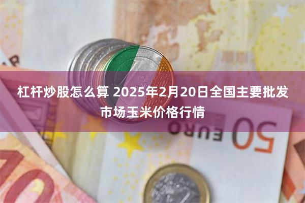 杠杆炒股怎么算 2025年2月20日全国主要批发市场玉米价格行情