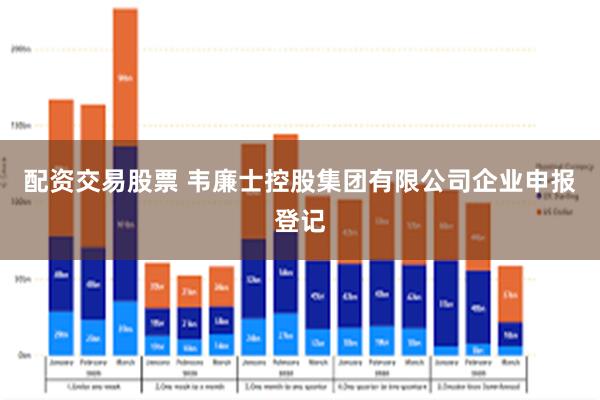 配资交易股票 韦廉士控股集团有限公司企业申报登记